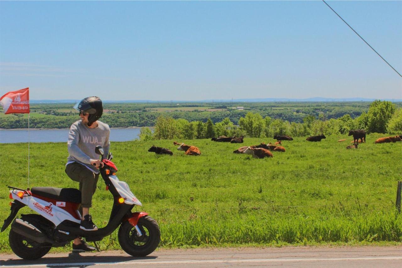 Motel Ile D'Orleans Sainte-Petronille Екстер'єр фото